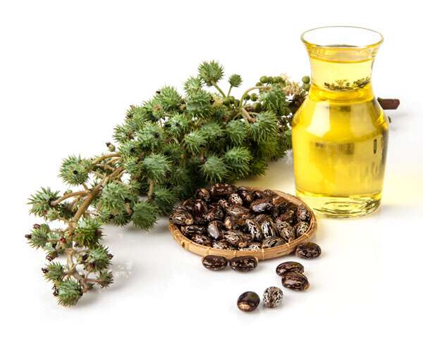 What is Castor Oil?
